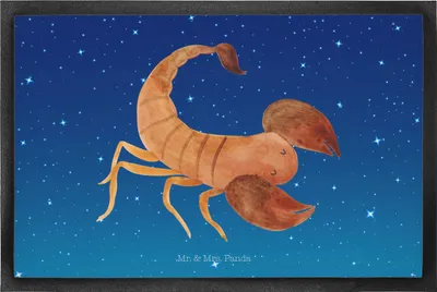 Produktbild von Mr. & Mrs. Panda fußmatte Sternzeichen Skorpion 50 x 75 cm - Sternenhimmel Blau - Geschenk, Geburtstag November, Schmutzmatte, Schmutzfangmatte, Fußabstreifer, Oktober