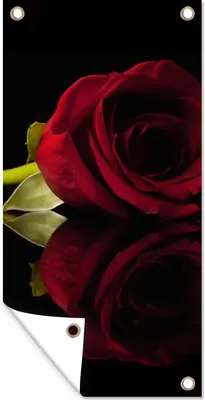 Produktbild von MuchoWow® 80x160 cm Outdoor-Poster Gartendeko Sichtschutz Garten Poster für den Garten  Rosen - Schwarz - Rot