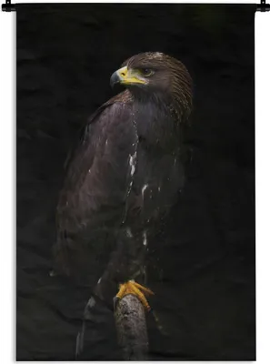 Produktbild von MuchoWow® Wandteppich Wandbehang Adler - Tier - Braun 120x180 cm Tapisserie Dekoration Wandtuch - Schlafzimmer - Dekorationen für das Haus