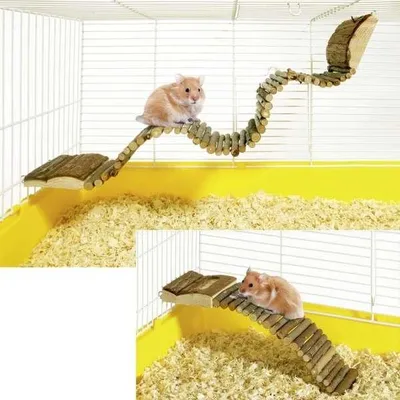 Image de Karlie Wonderland Pont - Accessoires pour cages en bois