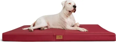 Produktbild von tierlando® OSCAR VISCO Orthopädische Hundematte Matratze Kunstleder Hundebett - Größe: 100x80cm | Farbe: 04 Dunkelrot