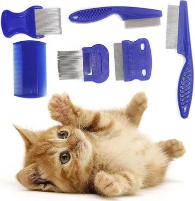 Produktbild von Famanu Flohkamm Set für Katzen und Hunde - Professionelles Pflegewerkzeug zur Floh- und Haarentfernung