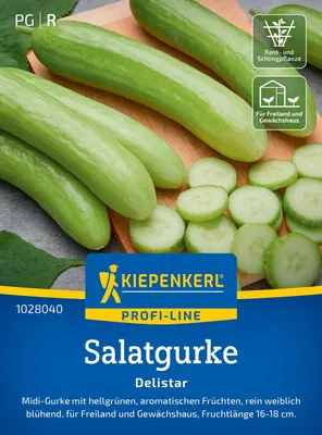 Produktbild von Kiepenkerl Salatgurkensamen Delistar F1 Cucumis sativus 5 Pflanzen