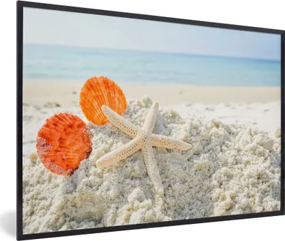 Produktbild von MuchoWow® MuchoWow® Gerahmtes Poster Muscheln - Seesterne - Sand 90x60 cm - Poster mit zchwarzem Bilderrahmen - Fotorahmen - Foto-Plakat