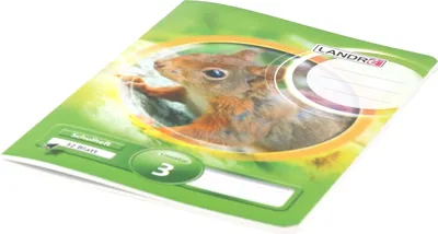 Produktbild von Schulheft A5 32 Blatt 80 g/qm Lineatur 3 (liniert) Packung mit 10 Stück