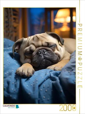 Produktbild von CALVENDO Puzzle Süße Träume | 2000 Teile Lege-Größe 90x67cm Foto-Puzzle für glückliche Stunden