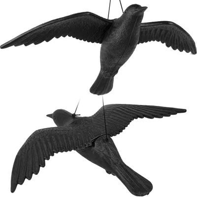 Immagine prodotto di Spaventapasseri a forma di corvo in plastica, per allontanare gli uccelli