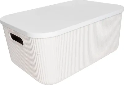 Produktbild von Aufbewahrungsbox MICHELINO mit Deckel 1 Stück ca. 13 l Serie Alytia beige | 1
