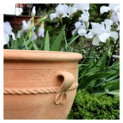 Produktbild von 100% handgefertigter Terracotta Pflanzkübel Rosa 2" 50cm aus Griechenland - Exklusive & natürliche Atmosphäre für Ihren Garten & Zuhause
