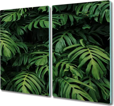 Produktbild von Coloray Hackbrett Kochplattenabdeckung Herdabdeckplatte 2x30x52 cm Schneidebrett Küchenbrett - tropische Blätter
