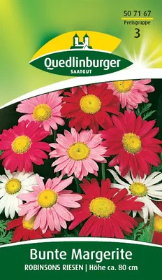 Produktbild von Quedlinburger Saatgut - Margeriten Bunte Robinsons Riesen - Samen - 507167