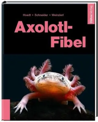 Produktbild von Axolotl-Fibel