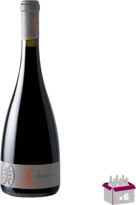 Image de Lot de 6 Chateau Saint-Julien Rouge - Cuvée Exception 2017 - 14° - 6x75cL
