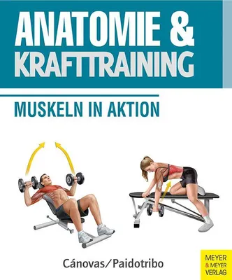 Produktbild von Anatomie & Krafttraining