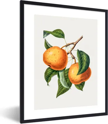 Produktbild von MuchoWow® Gerahmtes Poster Orange - Blätter - Lebensmittel 60x80 cm - Poster mit Schwarzem Bilderrahmen Wandposter Rahmen Foto Bilder - Premium - Wanddeko Wohnzimmer