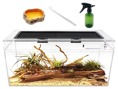 Produktbild von Reptilien-Terrarium Set für Insekten und Amphibien, 50 x 25 x 20 cm
