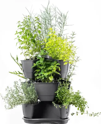 Image de Bac à plantes en cascade - Jardinière à 3 niveaux - Triple bac à plantes - Design vertical