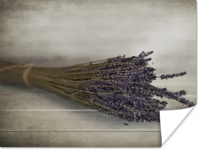 Produktbild von MuchoWow® Poster Blumenstrauß aus getrocknetem Lavendel 160x120 cm - Foto Plakat