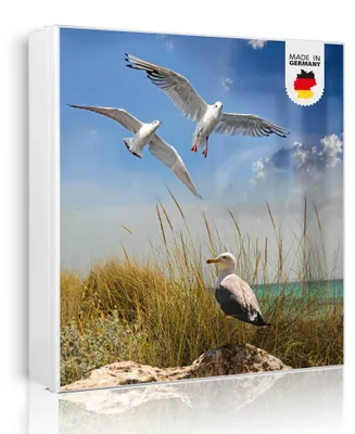 Zdjęcie produktu dla banjado metalowa szafka na klucze, duża 30x30 cm z 32 haczykami, może służyć jako tablica magnetyczna, biały korpus, zawias po lewej stronie, Möwen [SKGW2 10494]