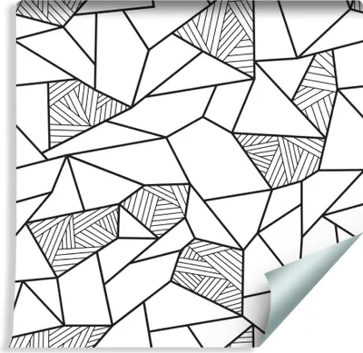 Zdjęcie produktu dla Tapeta Do Salonu Czarno-Biały GEOMETRYCZNY Wzór 3D Abstrakcyjna Dekoracja Ścienna
