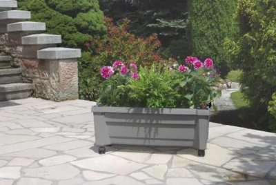 Produktbild von KHW Pflanzkasten Calypso mit Bewässerung u. Rollen  ca. 33 x 79 x 35 cm, Farbe grau