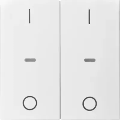 Zdjęcie produktu dla Berker 80962399, Płytka przycisku, Biały, Termoplastyczny, Berker S.1/B.x, 1 szt.