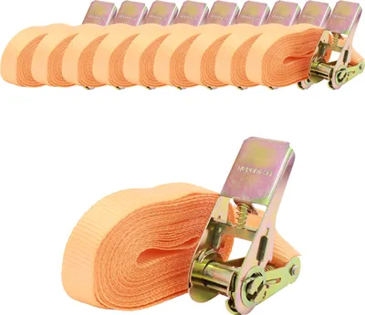 Produktbild von TRUTZHOLM 10x Spanngurt mit Ratsche 1-tlg 4m 800kg 25mm orange wetterfest und robust