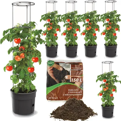 Obrázok produktu pre 6x Rajčiak z plastového kvetináča 28 l + univerzálna zemina 150 l 4 v 1 substrát s mikroorganizmami pre zeleninu, pestovateľ paradajok, kvetináč na paradajky, sadba, zelenina, podložka pod paradajky