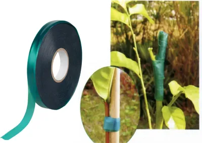 Produktbild von Band GreenGarden MULTI 60, 12 mm, L-60 m