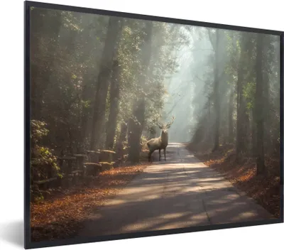 Produktbild von MuchoWow® Gerahmtes Poster Hirsche - Wald - Sonnenstrahlen 80x60 cm - Poster mit Schwarzem Bilderrahmen Wandposter Rahmen Foto Bilder - Schwarzem - Mit Gestell