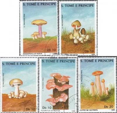 Produktbild von Briefmarken Sao Tome e Principe 1988 Mi 1043-1047 (kompl.Ausg.) gestempelt Pilze