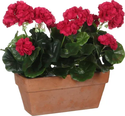 Produktbild von Mica Decorations Geranien Kunstpflanze im Balkonkasten Slate - L29 x B13 x H40 cm - Dunkelrosa