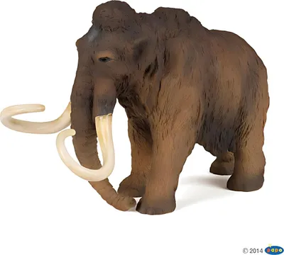 Produktbild von Papo Mammut, 3 Jahr(e), Dinosaurier, Braun, PVC