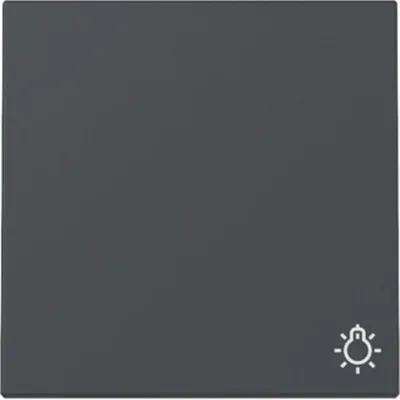 Image de NOUVELLE génération Gira 328528 Bascule avec symbole lumière E2 anthracite