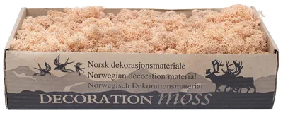 Produktbild von Islandmoos Peach 500g – Natürliches Dekorationsmaterial für Bastelarbeiten und Floristik