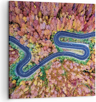 Produktbild von Bild auf Leinwand - Leinwandbild - Einteilig - Kurvenreich Weg Wald - 60x60cm - Wand Bild - Wanddeko - Wandbilder - Leinwanddruck - Bilder - Wanddekoration - Leinwand bilder - Wandbild - AC60x60-4291