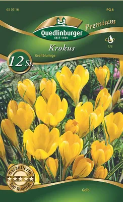 Artikelbild 2 von 'Krokus Grossblumig (12 Stück)' aus der Kategorie Krokuszwiebeln