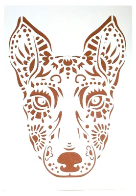Produktbild von Hundeposter aus Kunststoff, 30 x 21 cm