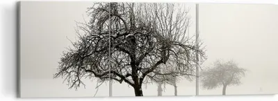Produktbild von Bild auf Leinwand - Leinwandbild - 3 Teile - Bäume Schnee Nebel - 120x40cm - Wand Bild - Wanddeko - Wandbilder - Leinwanddruck - Bilder - Wanddekoration - Leinwand bilder - Wandbild - CA120x40-4136