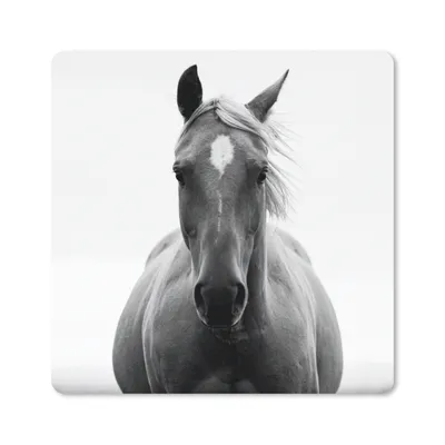 Produktbild von MuchoWow® Mauspad Mousepad Pferd - Schwarz - Weiß - Porträt 20x20 cm - Mousepads - Maus Mat - Pad - Mausunterlage - Desk Mat - Bureauartikeln