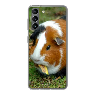 Produktbild von MuchoWow® Handyhülle Schutzhülle Hülle für Samsung Galaxy S21 Meerschweinchen draußen Silikon Softcase Handy Hülle - Softcase