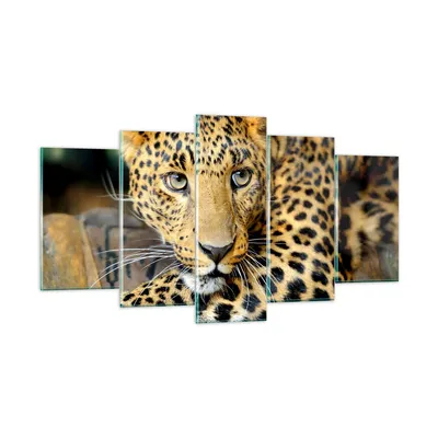 Produktbild von Bilder auf glas - Tiere gefährlich wilde katze - 160x85cm - Glasbilder - Wandbilder - Kunstdruck - zum Aufhängen bereit - Wanddekoration aus Glas - Glas Bilder - Wandbild auf Glas - GEA160x85-2702