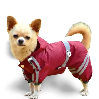 Image de Manteau pour chien Bourgogne XS