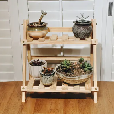 A wooden plant stand with several potted succulents on it, placed on a wooden floor in front of white shutters.