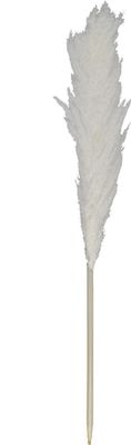 Getrocknete Pampasgräser XXL - ø 10 x 120 cm - Trockenblumenstrauß - Palmgrasfeder - Trockenblume - Dekorationspflanzen - Hochzeitsdekoration - Weiß