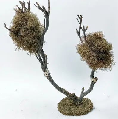 Produktbild von Baum für Krippenstall aus Naturmaterial. Krippenbotanik. 35x15x40 cm
