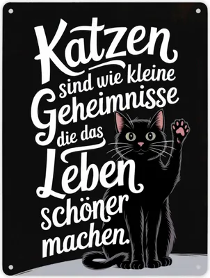 Produktbild von Katzen machen das Leben schöner Metallschild XL in 21x28 cm
