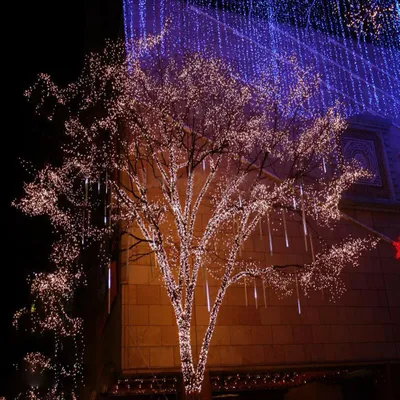Produktbild von 10M LED Lichterkette Lichterkette Batteriebetrieben Kupferdraht Lampe Wasserdicht Xmas Dekoration