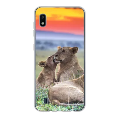 Produktbild von MuchoWow® Handyhülle Schutzhülle Hülle für Samsung Galaxy A10 Löwen bei Sonnenaufgang Silikon Softcase Handy Hülle - Schutzhülle