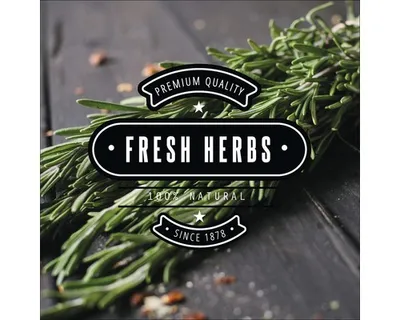 Produktbild von Glasbild Fresh Herbs II 20x20 cm